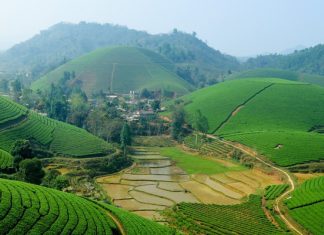 Du lịch Mai Châu nên đi mùa nào là đẹp nhất trong năm? Du lịch Mai Châu nên đi mùa nào là đẹp nhất trong năm?